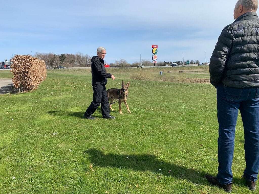 Brandhunde - et undervurderet værktøj - Efterforskning - yourCompany (2)