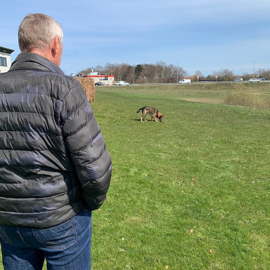 Brandhunde - et undervurderet værktøj - Efterforskning - yourCompany (3)